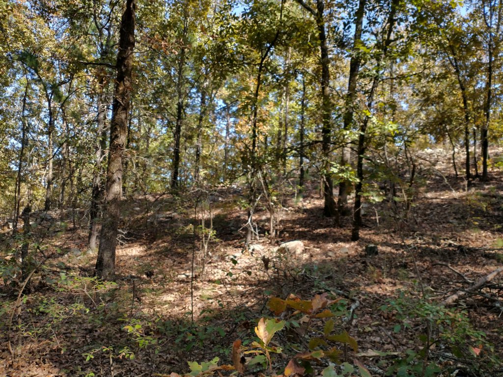img_20201012_141857539_hdr.jpg