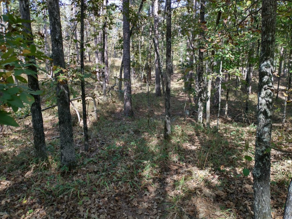 img_20201012_142448516_hdr.jpg