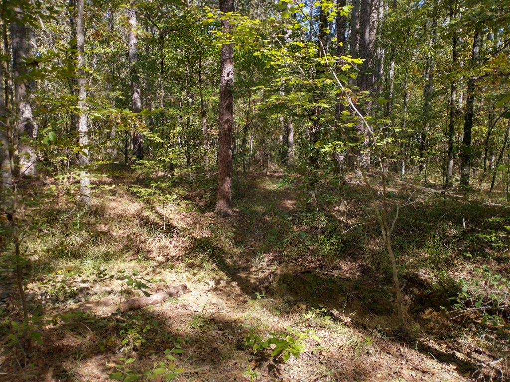 img_20201012_143713469_hdr.jpg