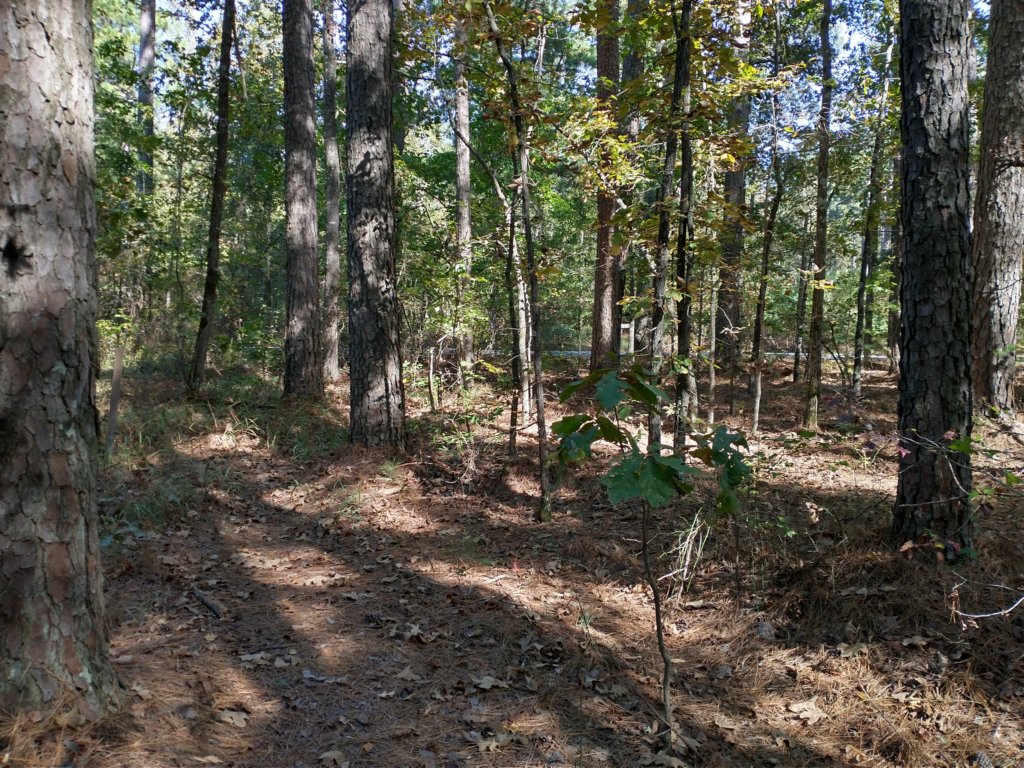 img_20201012_145242160_hdr.jpg