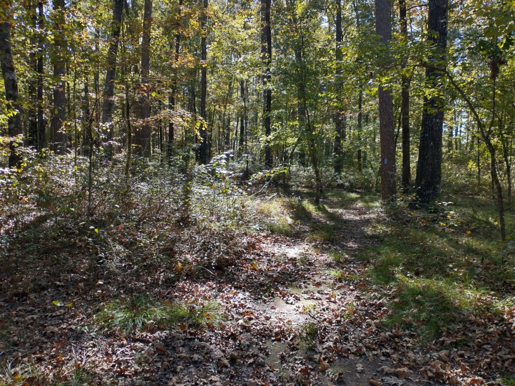 img_20201012_151221025_hdr.jpg