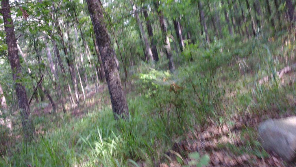 img_20190615_091350324.jpg