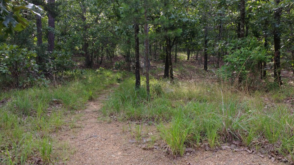 img_20190615_092920125.jpg