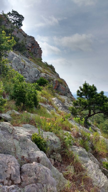 img_20190615_093431372_hdr.jpg