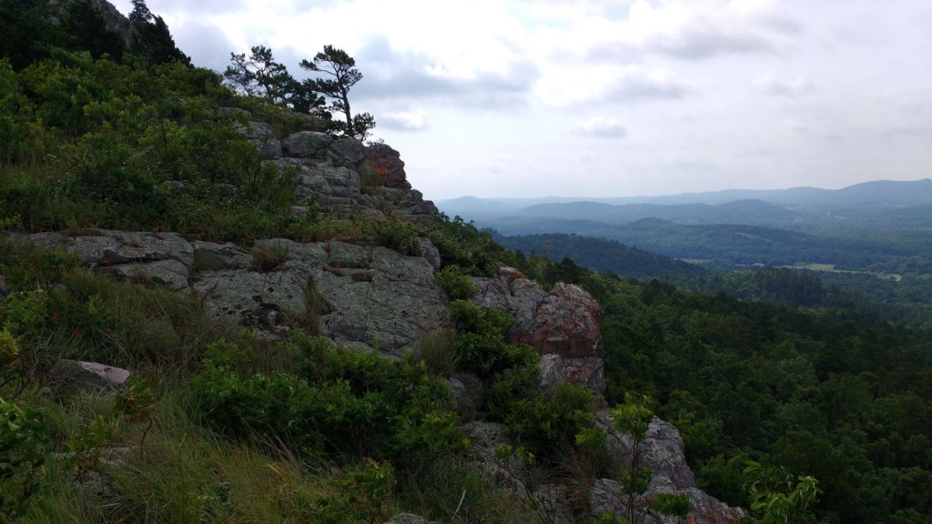 img_20190615_094122489.jpg