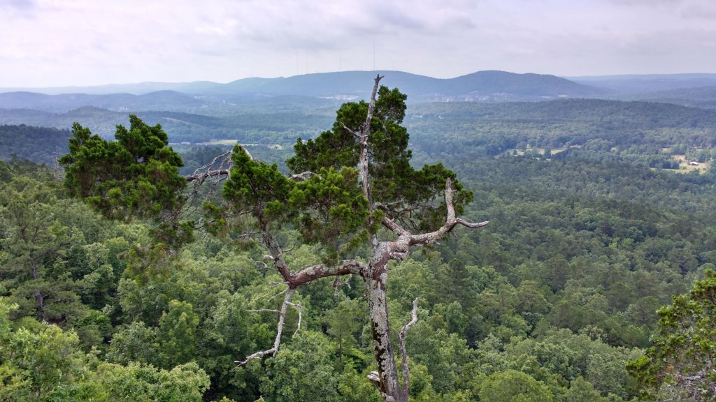 img_20190615_094304614_hdr.jpg