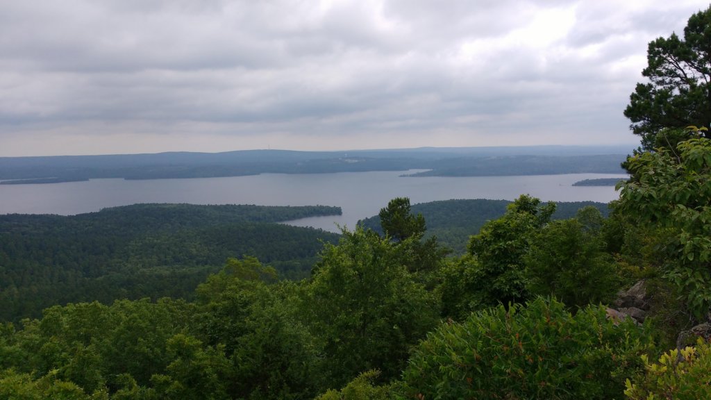 img_20190615_094900515.jpg