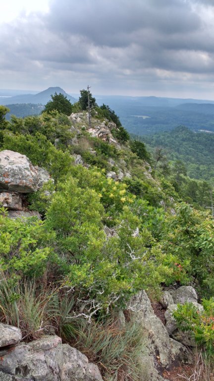 img_20190615_101350299_hdr.jpg