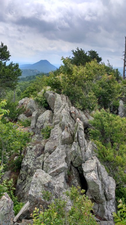 img_20190615_102412885_hdr.jpg