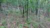 img_20190615_104341237_small.jpg