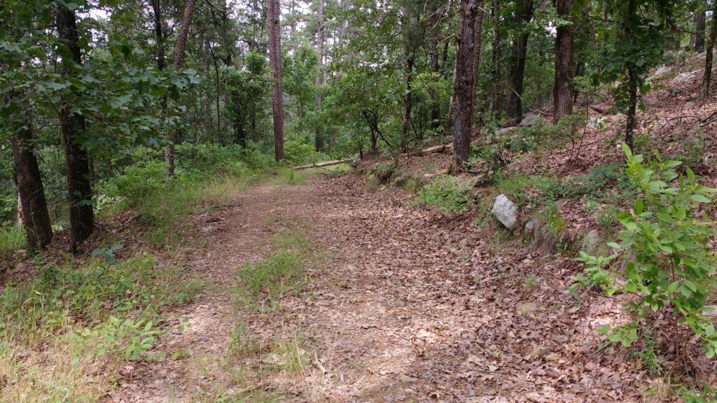 img_20190615_105639117.jpg