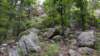img_20190615_105829766_small.jpg