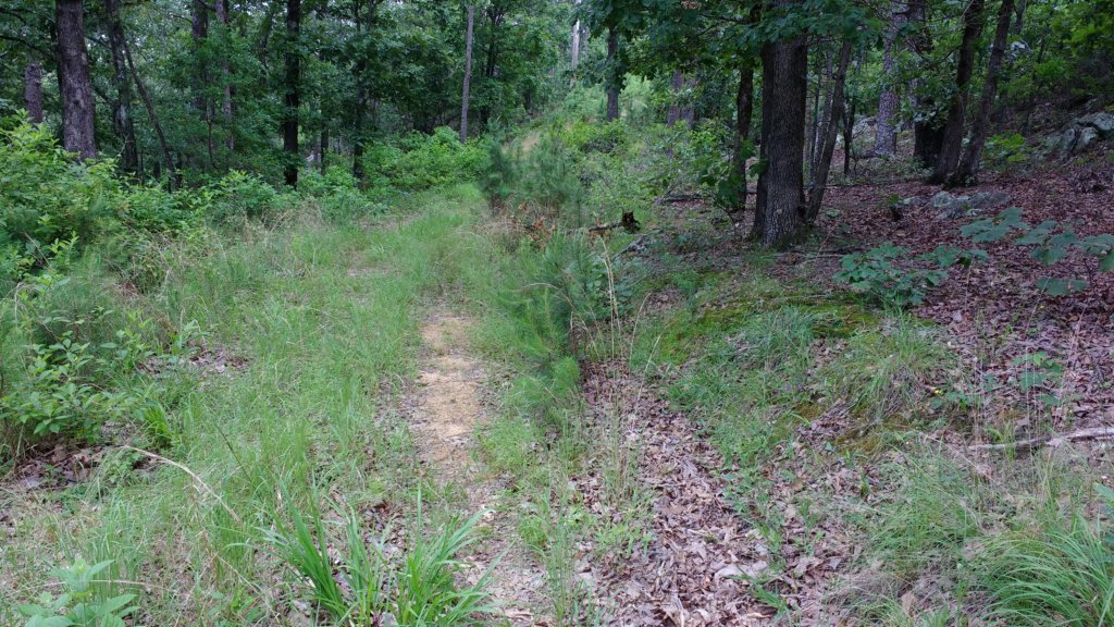 img_20190615_105858355.jpg