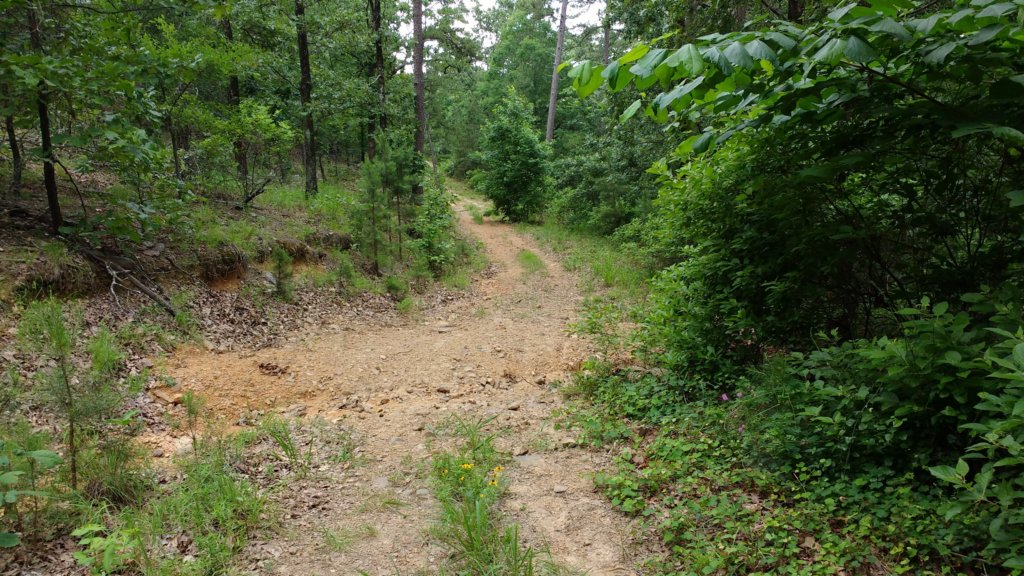 img_20190615_110828403.jpg