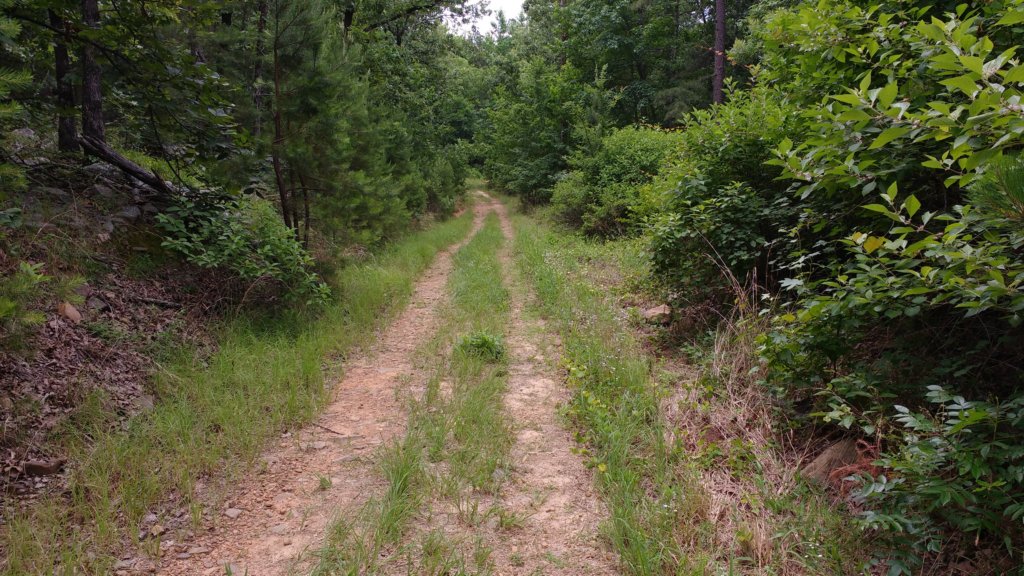 img_20190615_111717701.jpg