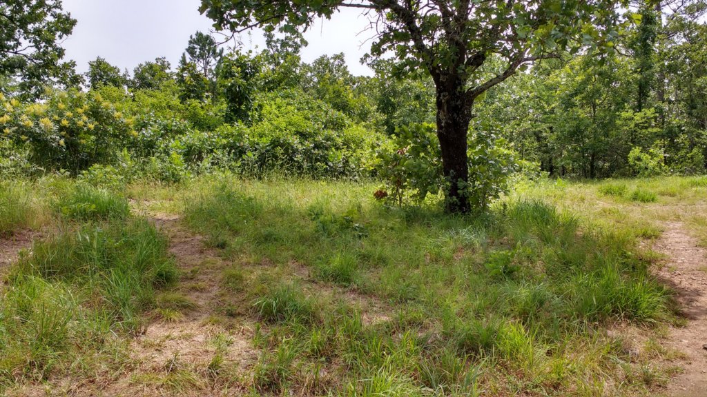 img_20190615_112724730_hdr.jpg