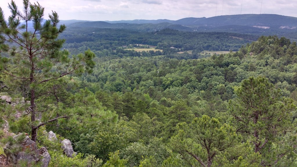 img_20190615_113411175_hdr.jpg
