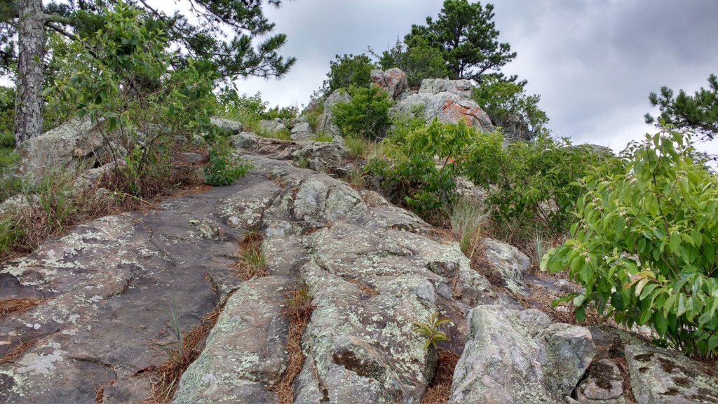 img_20190615_115356998_hdr.jpg