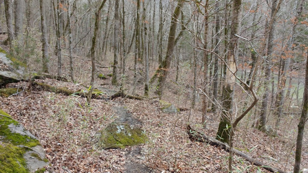 img_20180218_113419109.jpg
