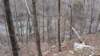img_20180218_115502461_small.jpg