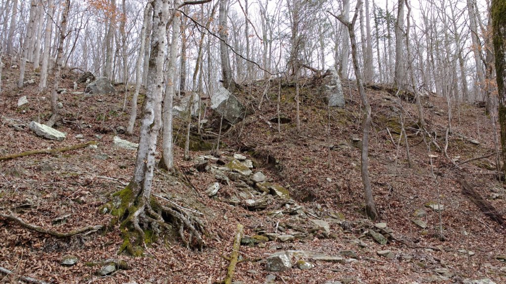 img_20180218_115824475.jpg