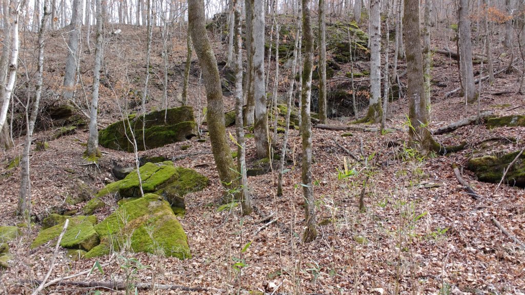 img_20180218_121146561.jpg