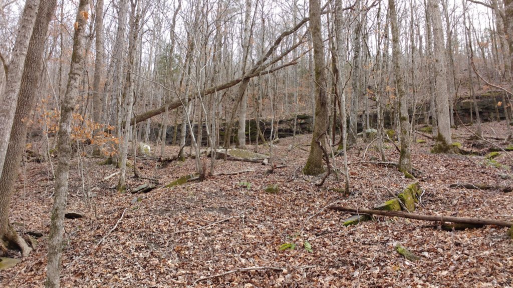 img_20180218_121715595.jpg