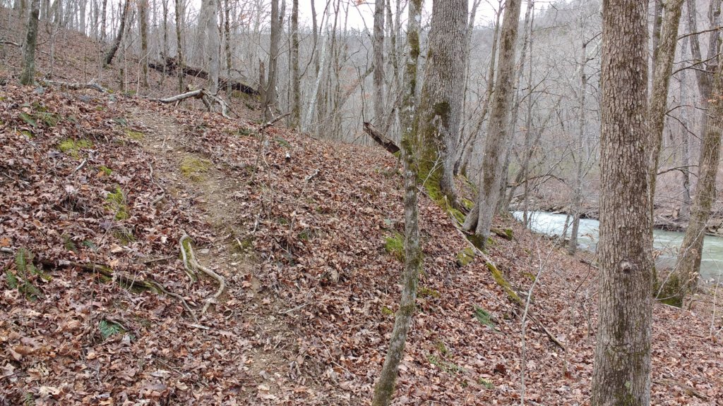img_20180218_122347254.jpg