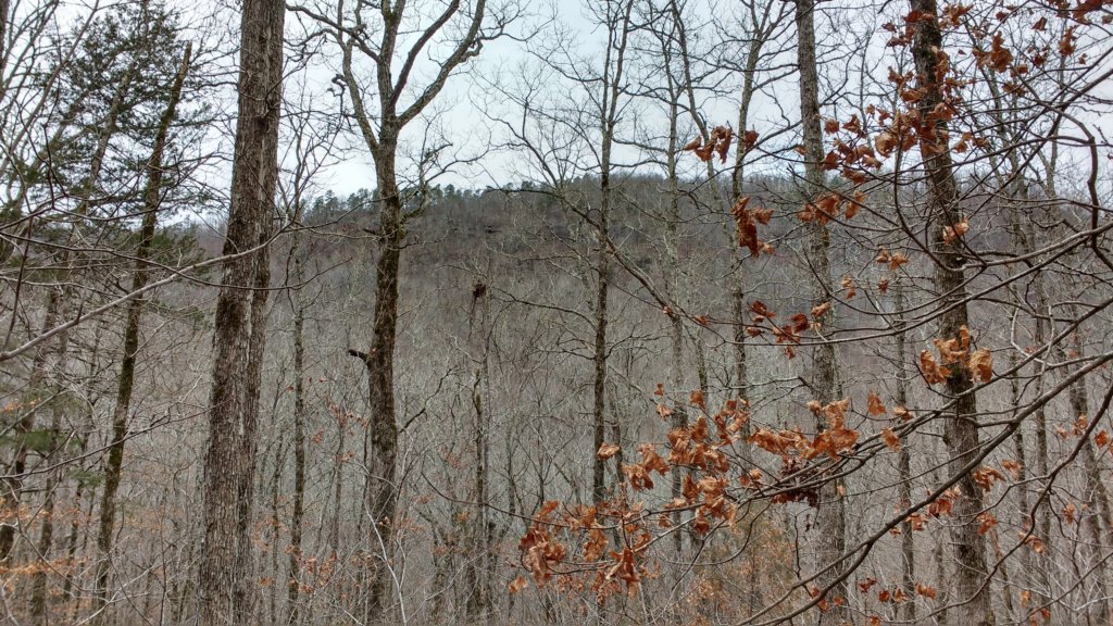 img_20180218_134227504_hdr.jpg