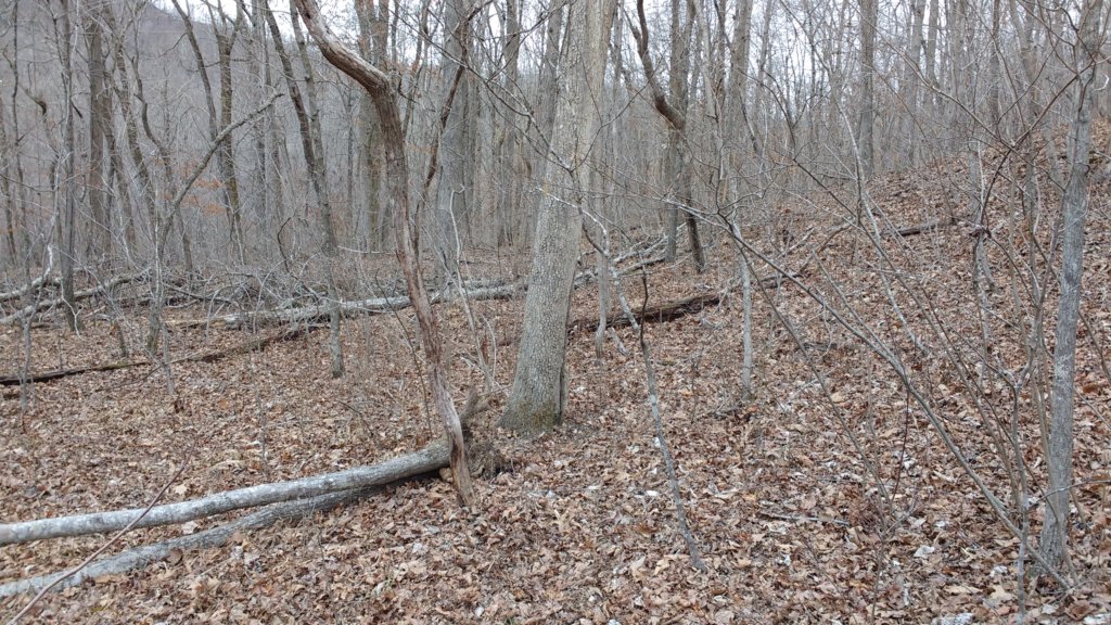 img_20180218_140636722.jpg