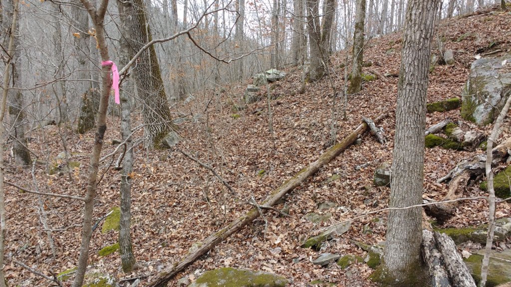 img_20180218_143117173.jpg