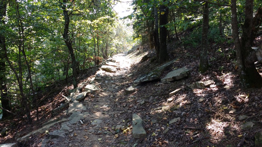 img_20170904_112152201.jpg