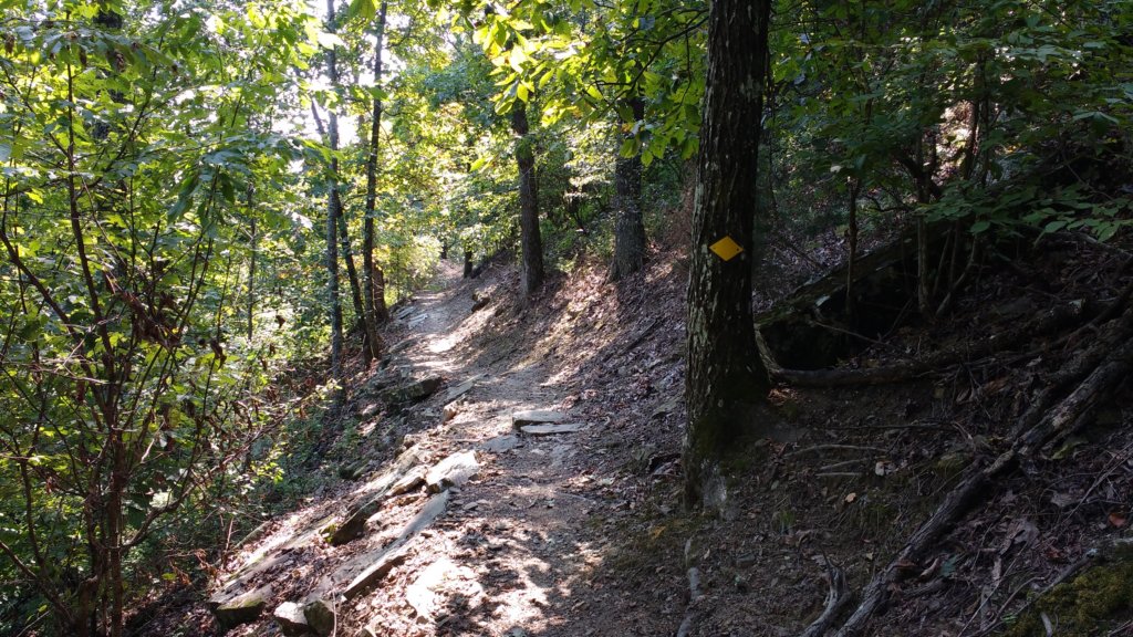 img_20170904_112543115.jpg