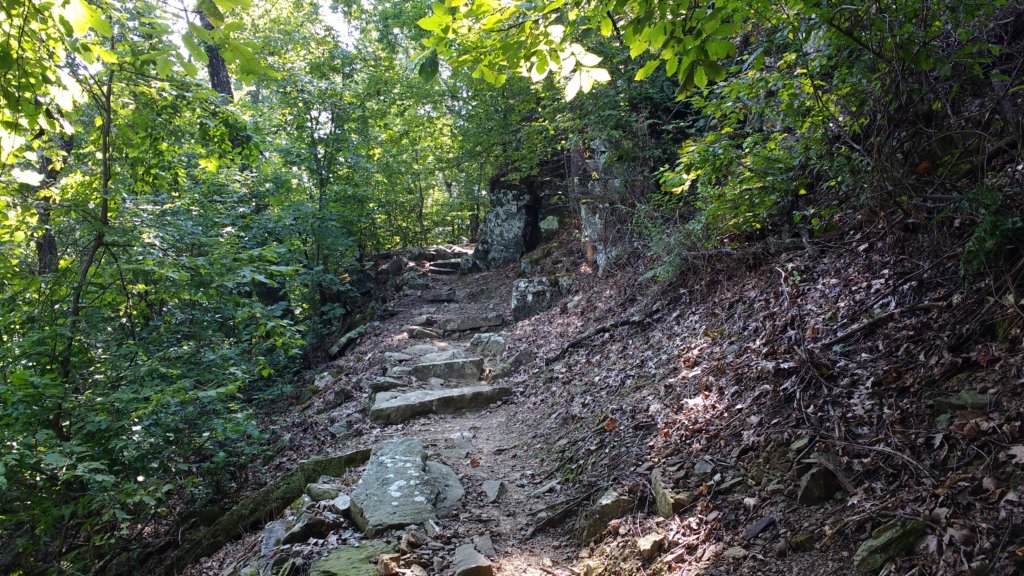 img_20170904_112912751.jpg