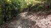 img_20170904_113547766_small.jpg