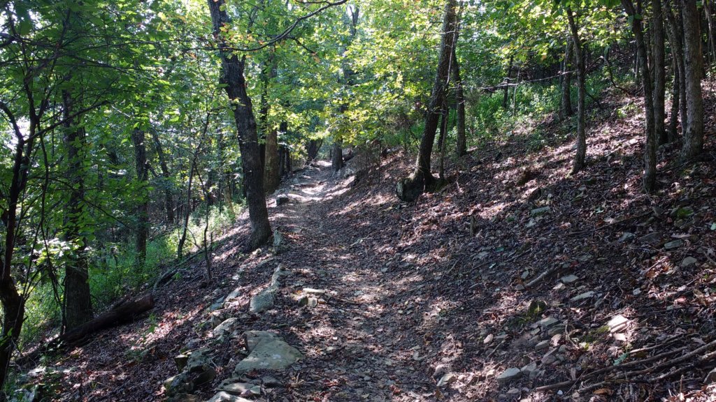 img_20170904_113638042.jpg