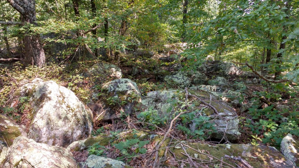 img_20170904_122035706_hdr.jpg