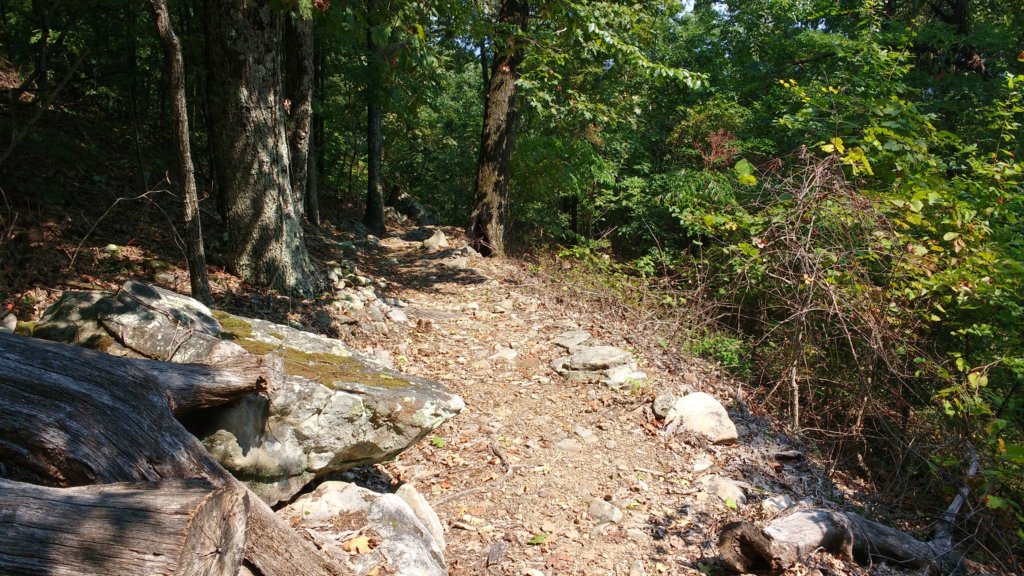 img_20170904_122123747.jpg
