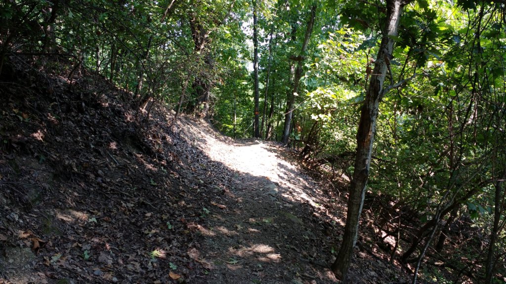 img_20170904_122322278.jpg