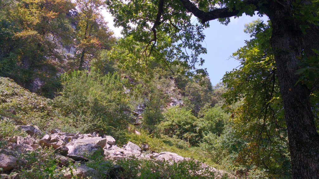 img_20170904_123826802.jpg