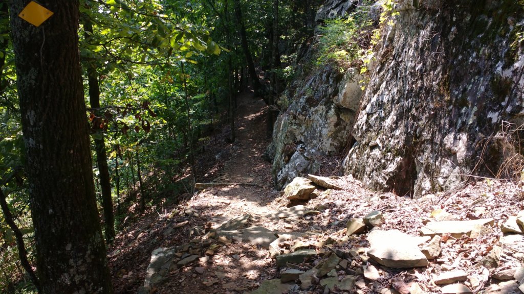 img_20170904_124636015.jpg