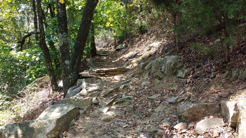 img_20170904_124945477.jpg