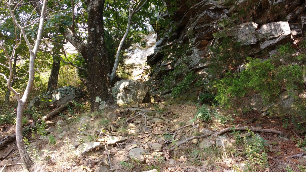 img_20170904_125357062.jpg