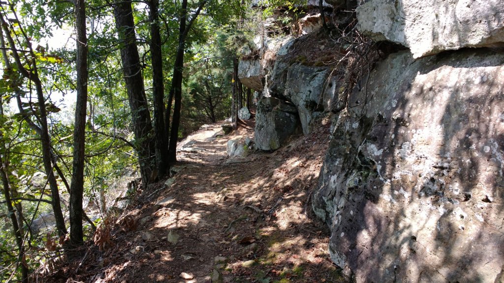 img_20170904_125937114.jpg