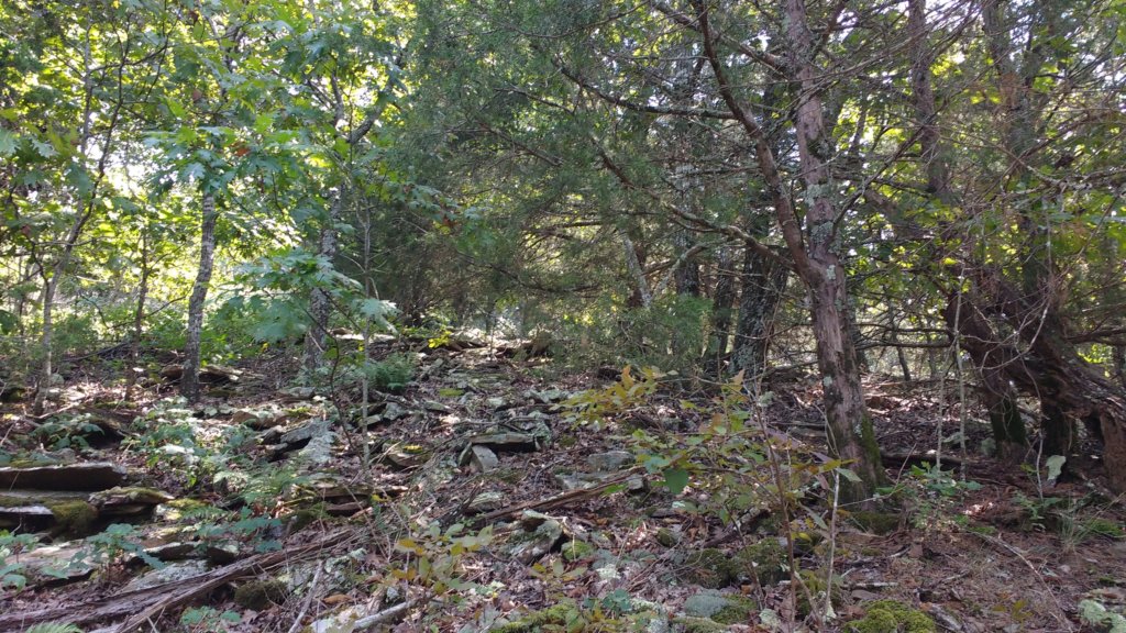img_20170904_131624755.jpg