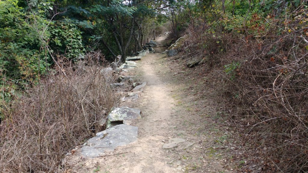 img_20170904_142036126.jpg