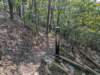 pxl_20260909_151310179_small.jpg