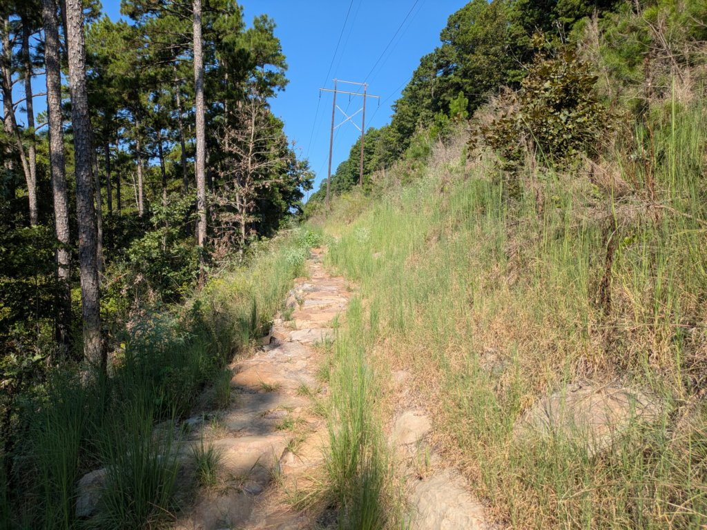 pxl_20260909_151911065.jpg