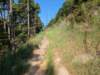 pxl_20260909_151911065_small.jpg
