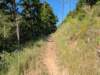 pxl_20260909_151935390_small.jpg